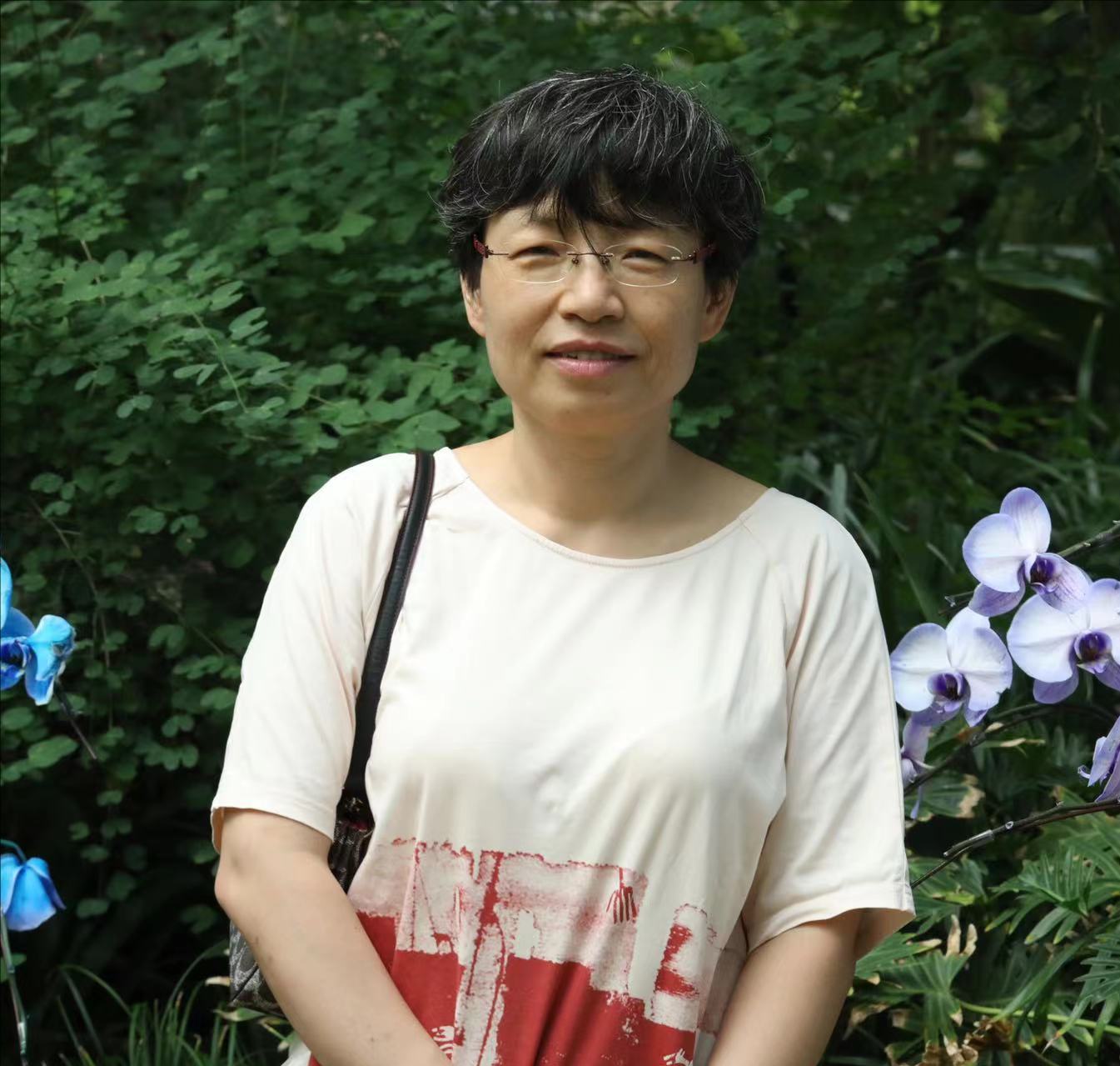  球友会·体育创新论坛第一千七百六十五讲：题目1-层状岩体岩浆房冷却过程与钒钛磁铁矿床成因 题目2-辽东中生代岩浆岩壳幔相互作用的岩浆和成矿记录