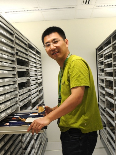球友会·体育创新论坛第一千八百零一讲：虫鸣凤舞伴花香：现代陆地生态系统的起源