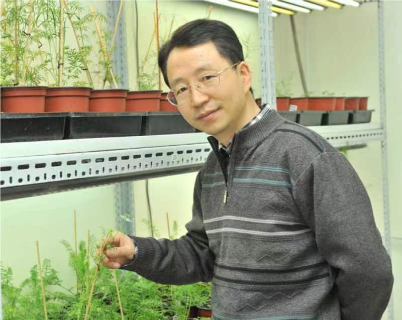 球友会·体育创新论坛第一千二百六十八讲暨120周年校庆年系列活动：复杂花瓣的发育与进化